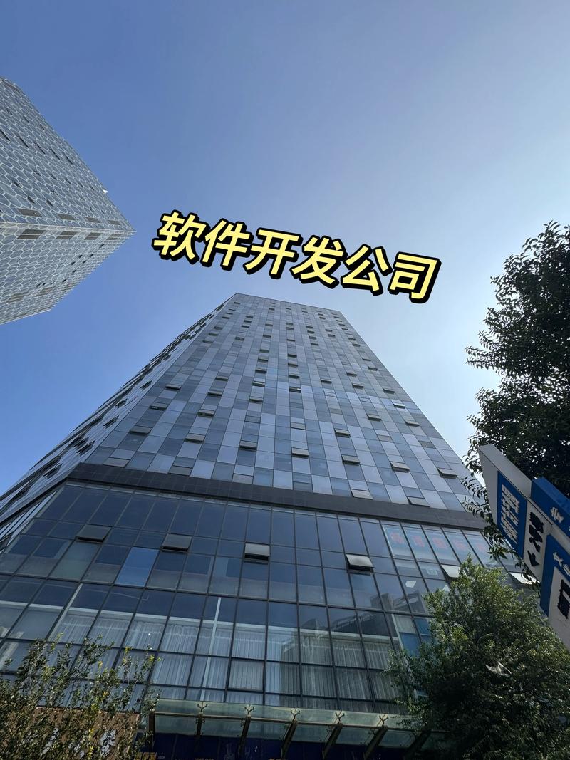软件定制开发：让企业如虎添翼